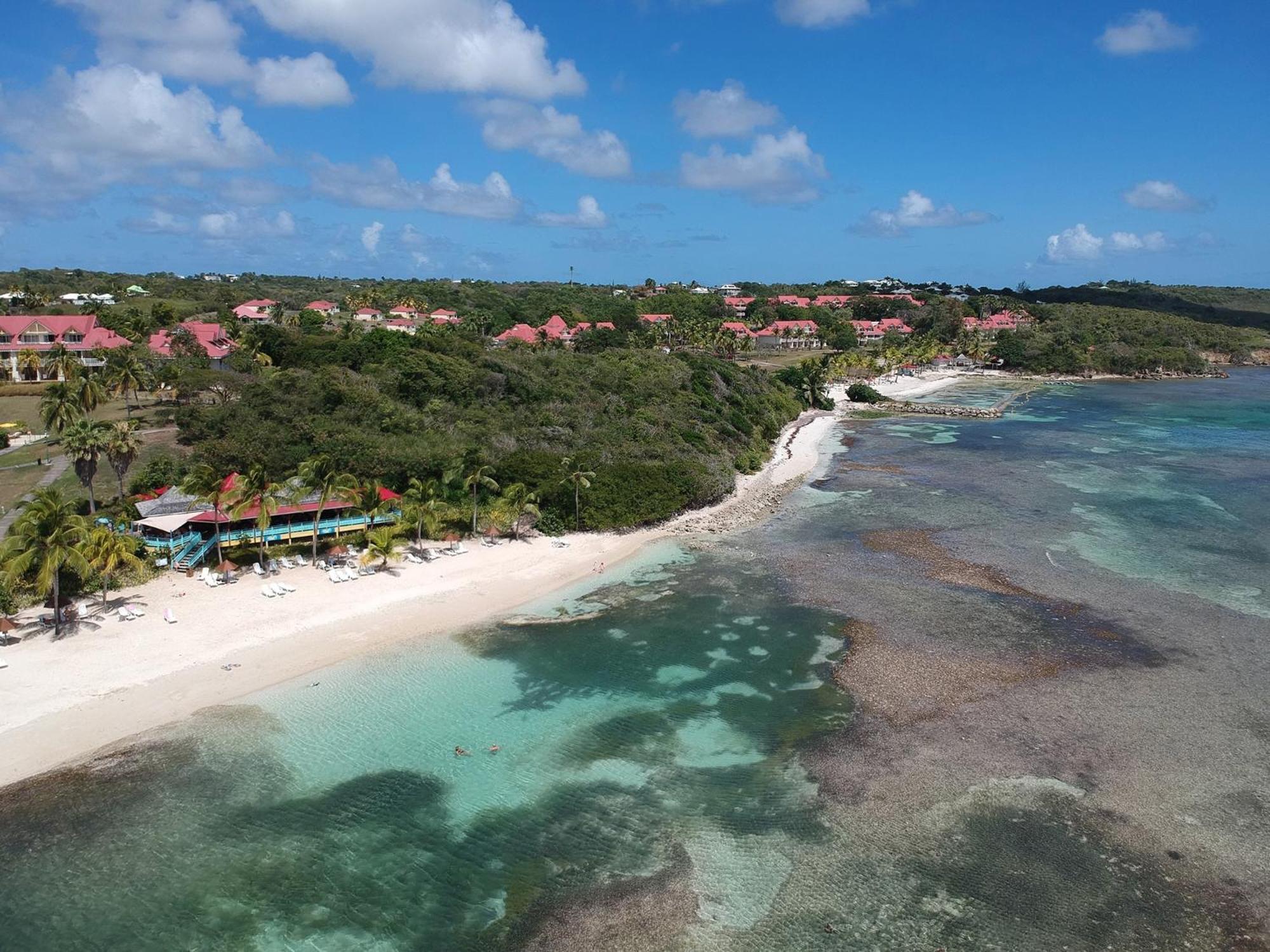 Studio Olia A P&V - Plages, Piscines Et Vue Mer! Sainte-Anne  Exterior foto